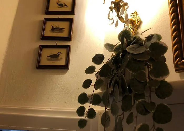 Palazzo Farini Bed and breakfast