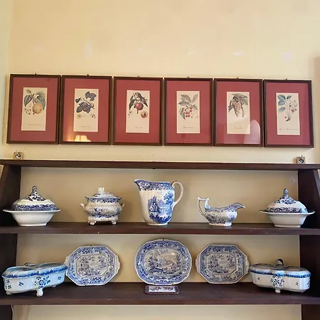 Bed and Breakfast Palazzo Farini *