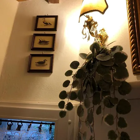 Palazzo Farini B&B